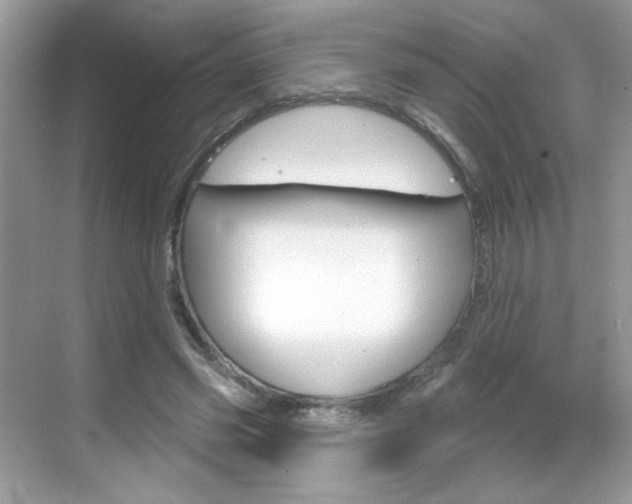 X0000069360541200605120919