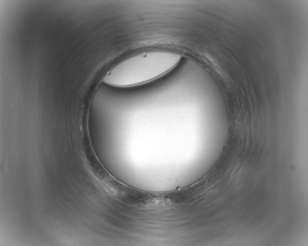 X0000069360543200605120919