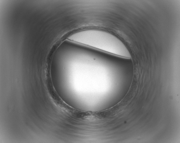 X0000069360544200605120919