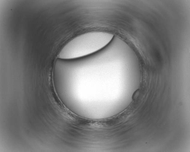X0000069360545200605120919