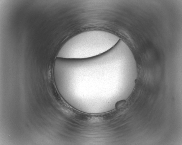 X0000069360549200605120919