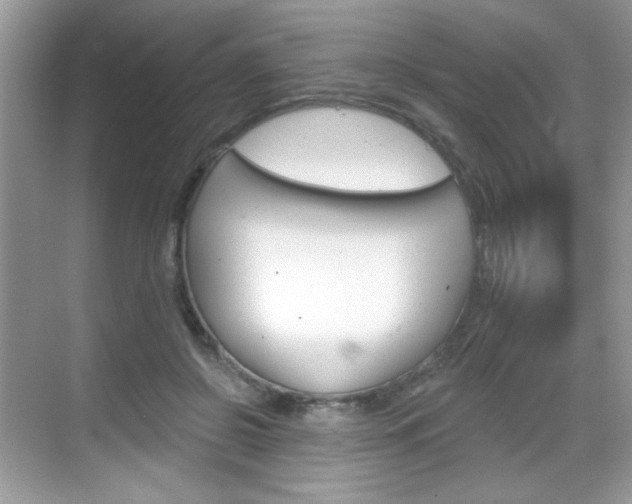 X0000069360550200605120919