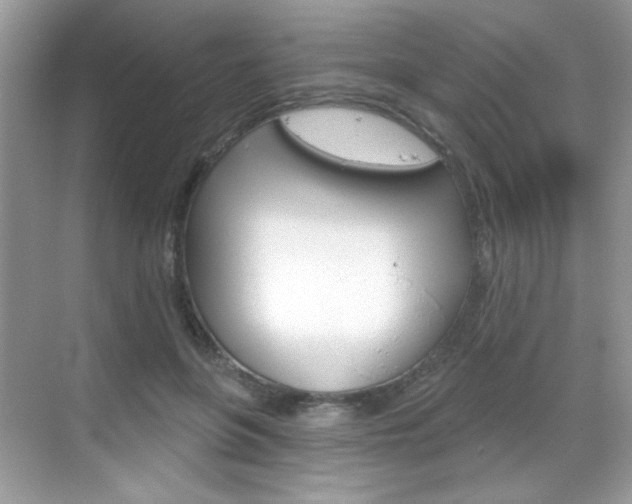 X0000069360551200605120919