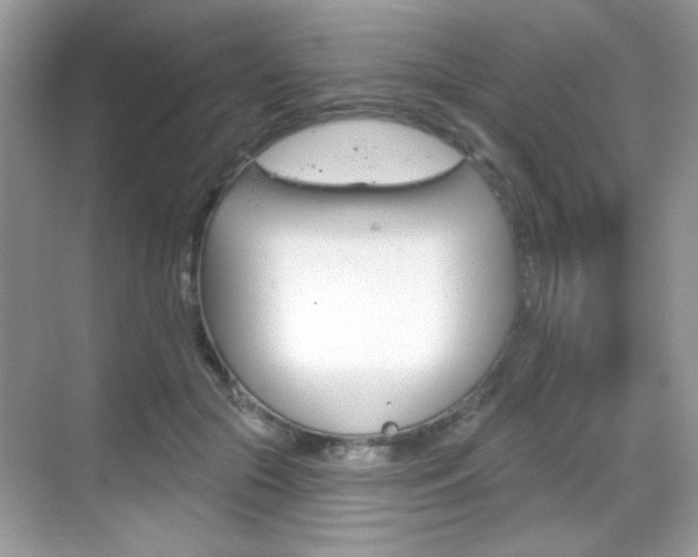 X0000069360553200605120919