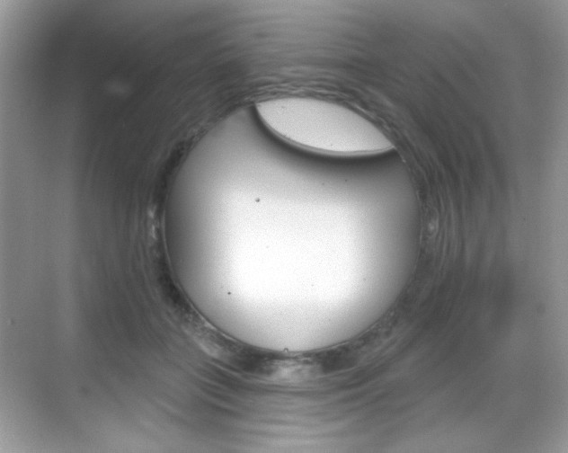 X0000069360555200605120919