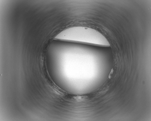 X0000069360558200605120919