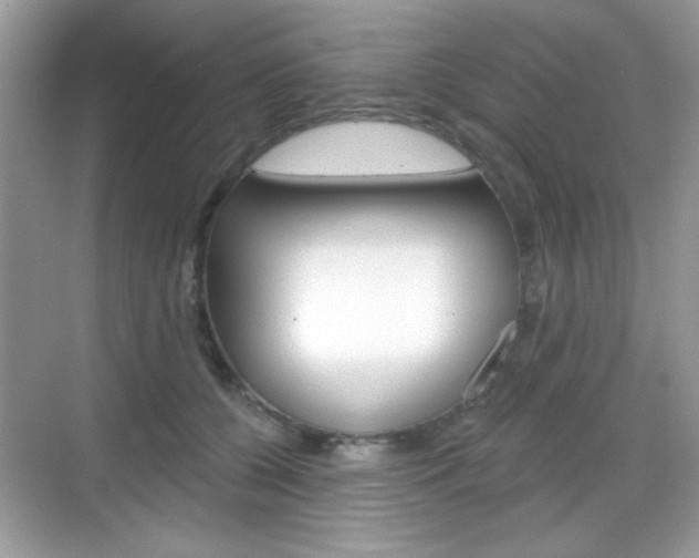 X0000069360560200605120919