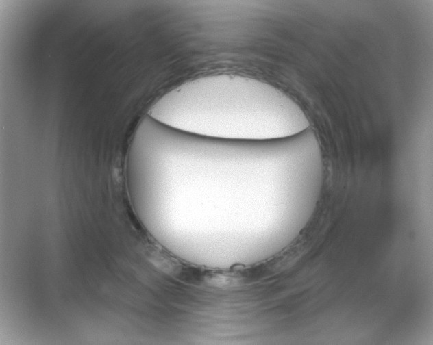 X0000069360561200605120919