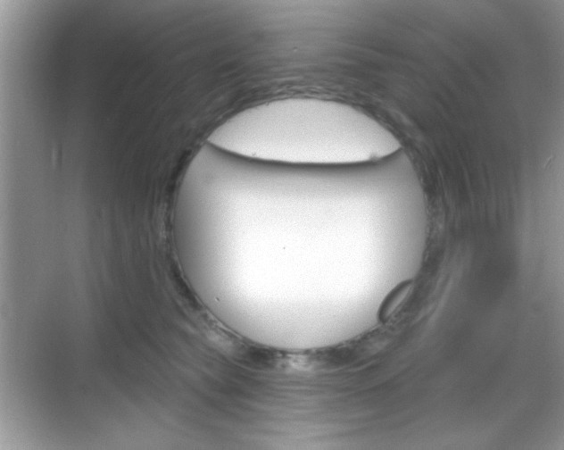 X0000069360565200605120919