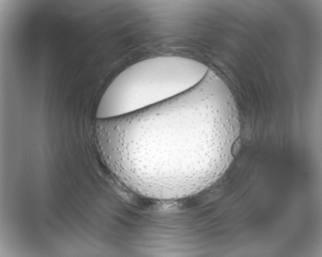 X0000069360569200605120919