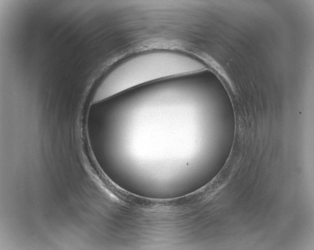 X0000069360581200605120918