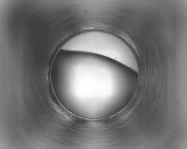 X0000069360585200605120918