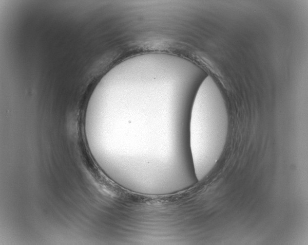 X0000069360586200605120918