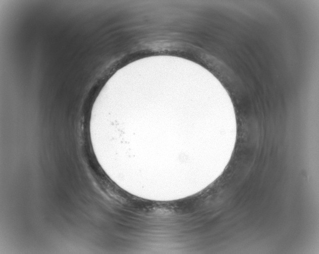 X0000069360592200605120918