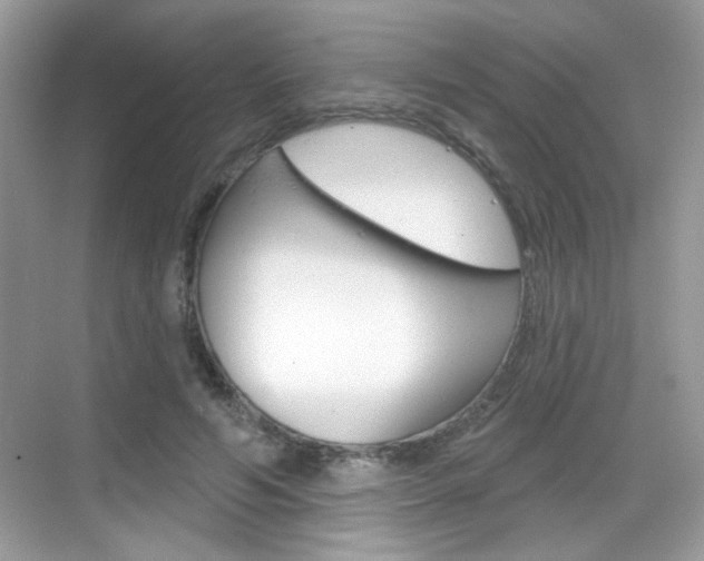 X0000069360594200605120918