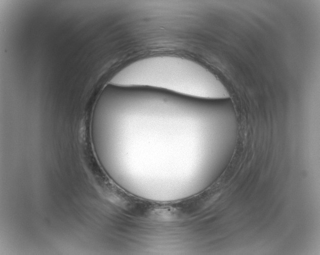 X0000069360595200605120918