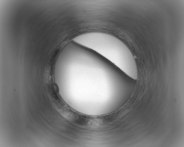 X0000069360599200605120918