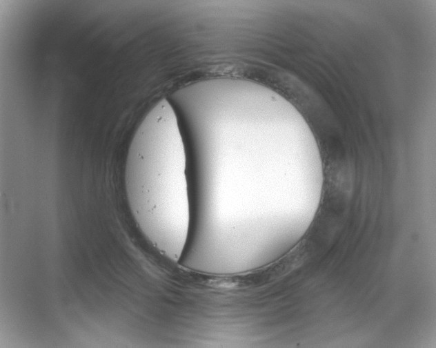 X0000069360602200605120918