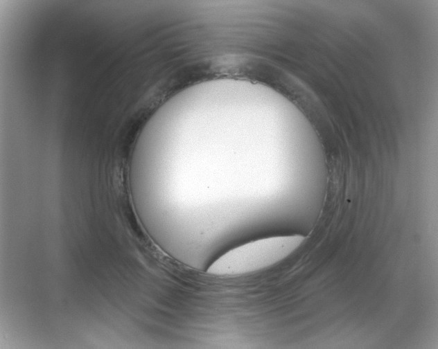 X0000069360603200605120918
