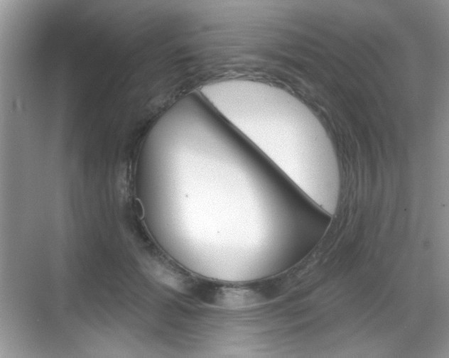 X0000069360605200605120918