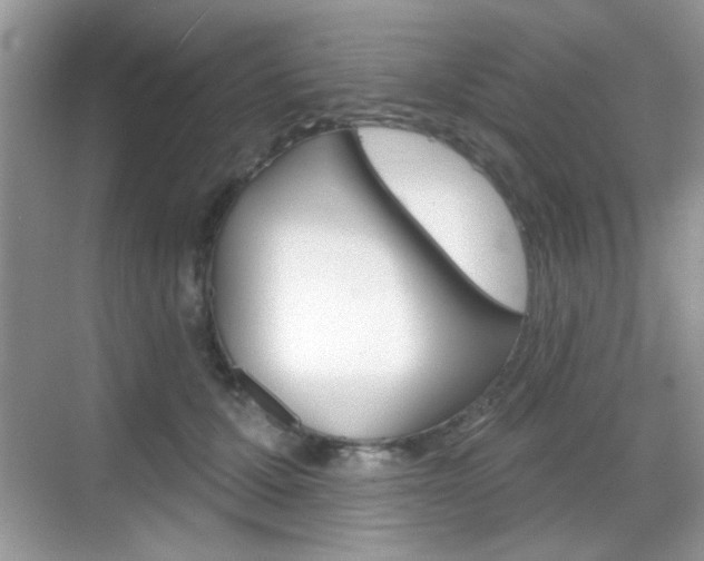 X0000069360607200605120918