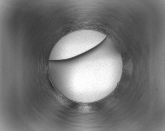 X0000069360610200605120918
