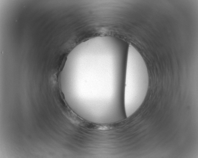 X0000069360611200605120918