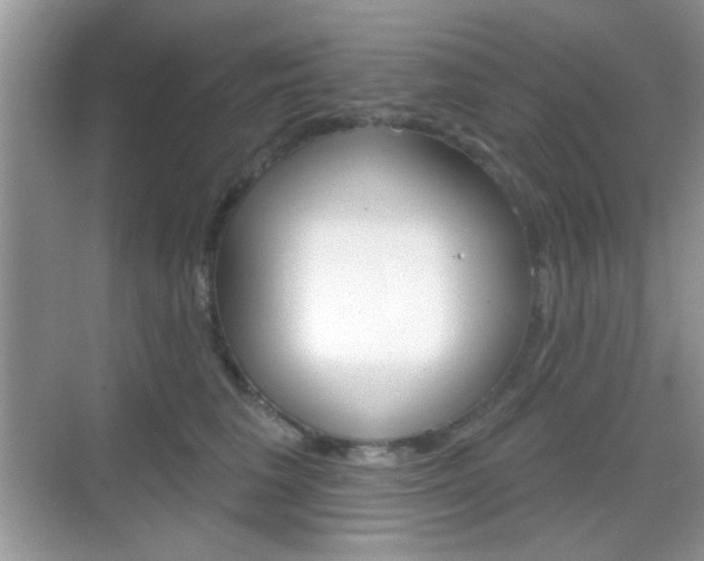 X0000069360613200605120918