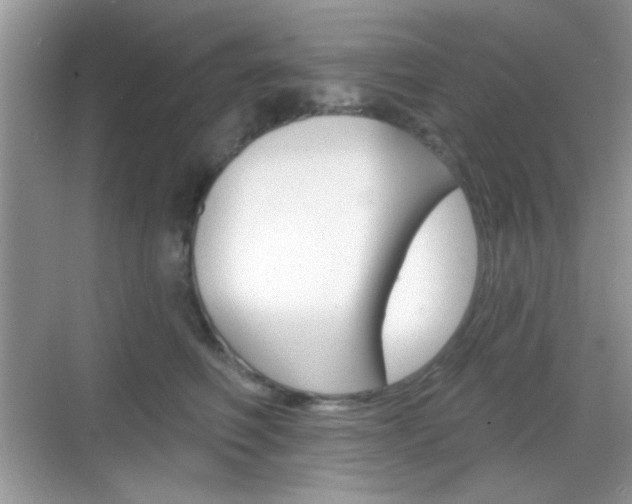 X0000069360614200605120918