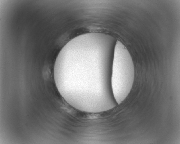 X0000069360618200605120918
