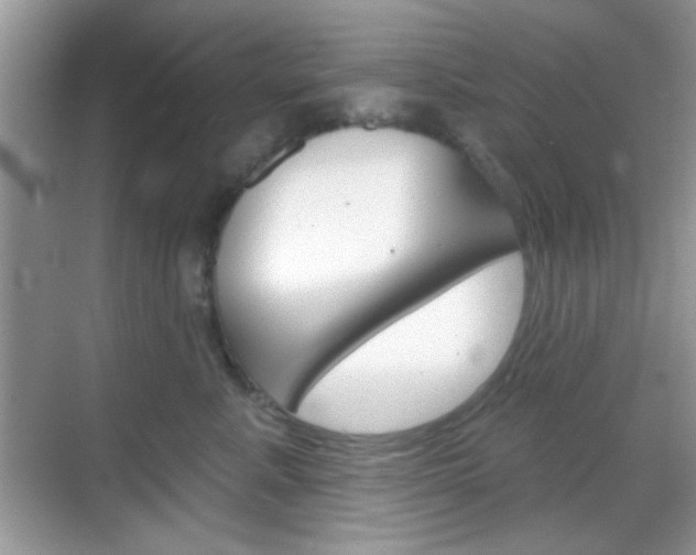 X0000069360619200605120918