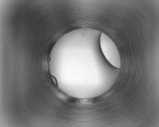 X0000069360622200605120918