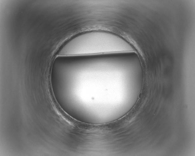 X0000069360625200605120917