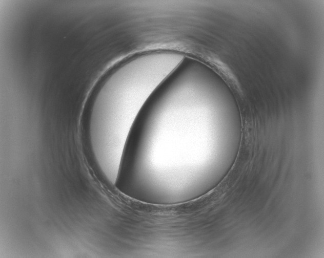 X0000069360628200605120917