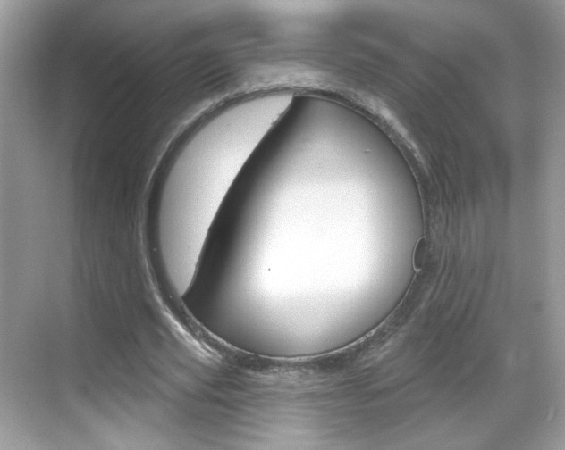 X0000069360629200605120917