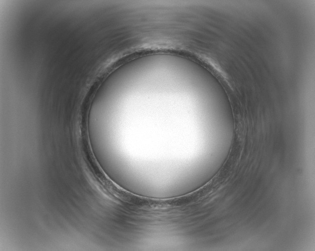 X0000069360631200605120917