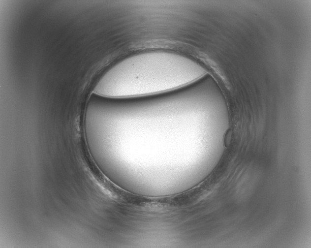 X0000069360633200605120917