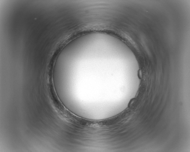 X0000069360635200605120917