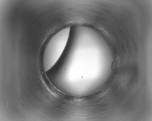 X0000069360638200605120917