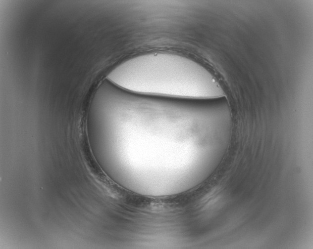 X0000069360641200605120917