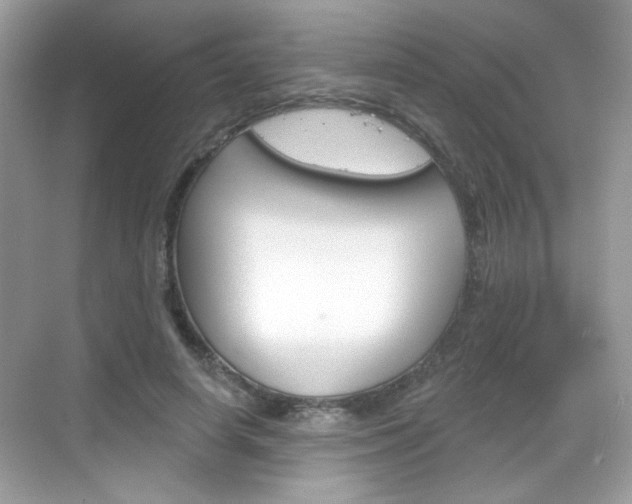X0000069360642200605120917
