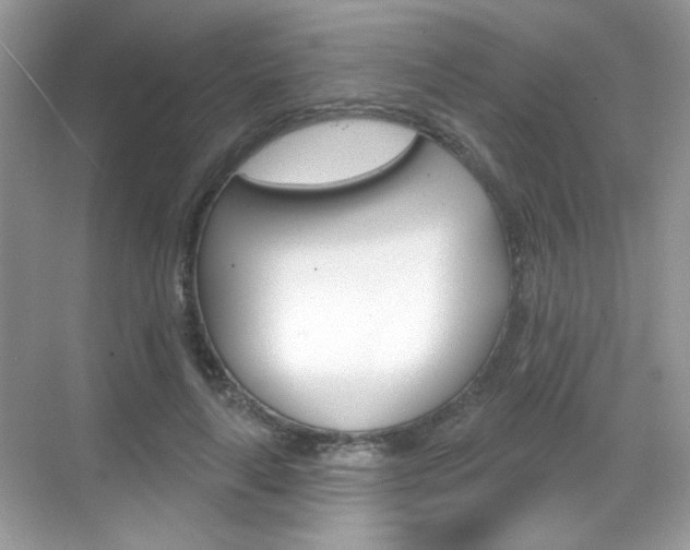X0000069360643200605120917