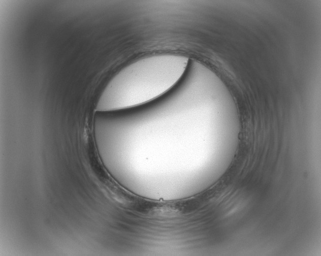 X0000069360644200605120917