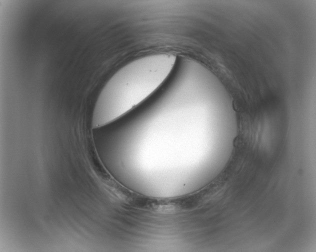 X0000069360645200605120917