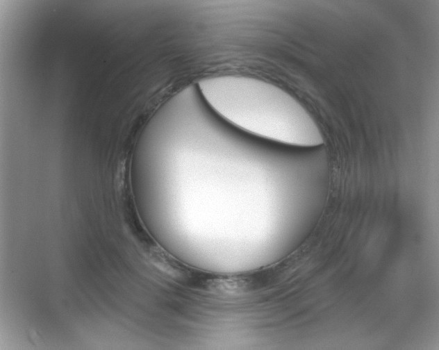 X0000069360652200605120917