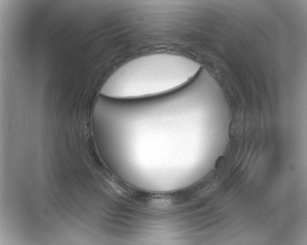 X0000069360653200605120917