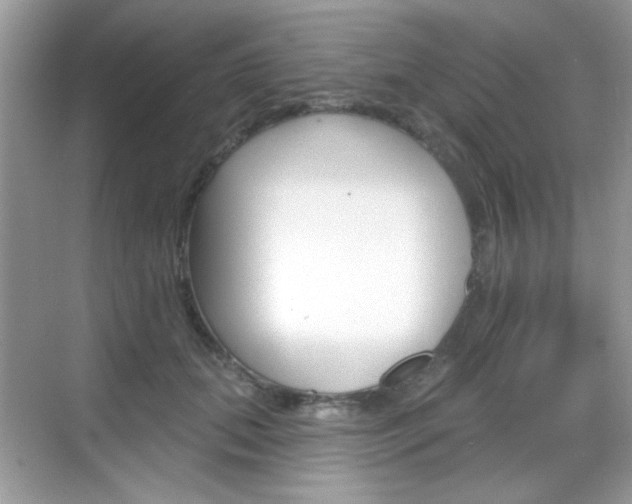 X0000069360655200605120917