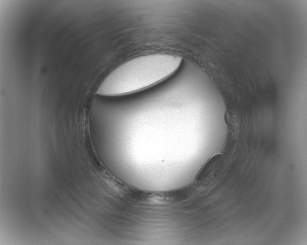 X0000069360657200605120917