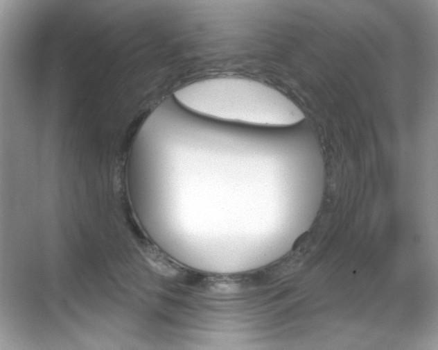 X0000069360658200605120918