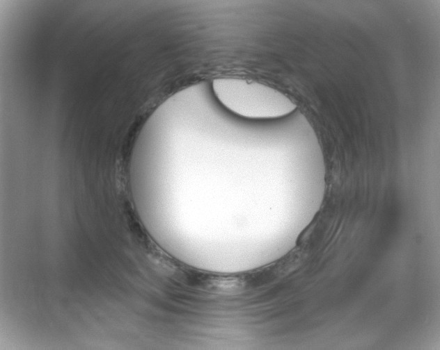 X0000069360659200605120918